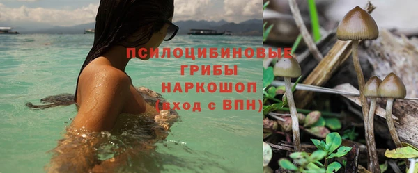 стаф Верхнеуральск