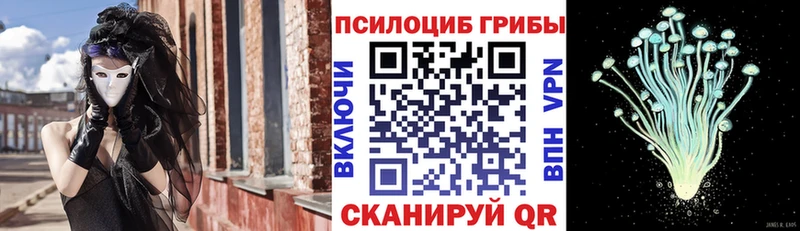 Купить Тында Галлюциногенные грибы мухоморы